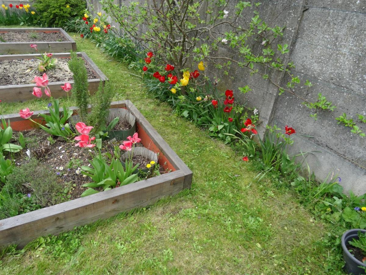 Maison D'Hotes Les Roses Tremieres Сакле Экстерьер фото